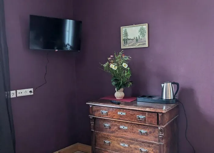 Schlosspension 게스트하우스 Hummelshain